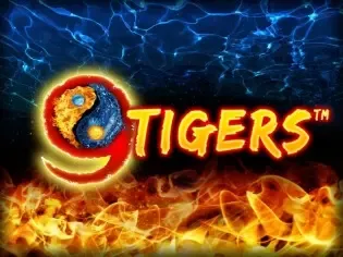 9 Tigers™ game cover