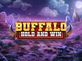 Buffalo Hold and Win game cover